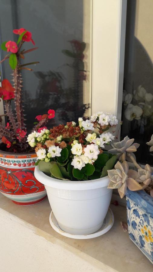 Lucy Home Lussuoso Appartamento Recanati Mare ジャルディーニ・ナクソス エクステリア 写真